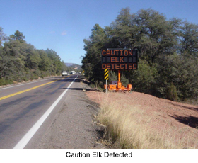 Game Crossing Warning System - Solar Traffic Controls