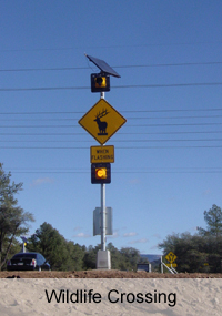 Solar Powered Game Crossing Flasher - Solar Traffic Controls